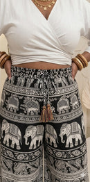Pantalona Gayatri